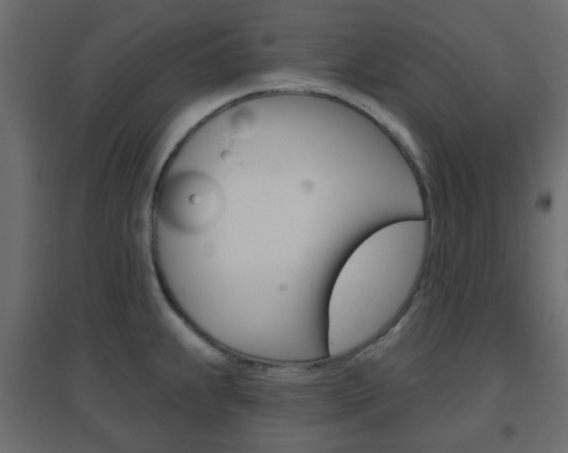 X0000096631239200802050926