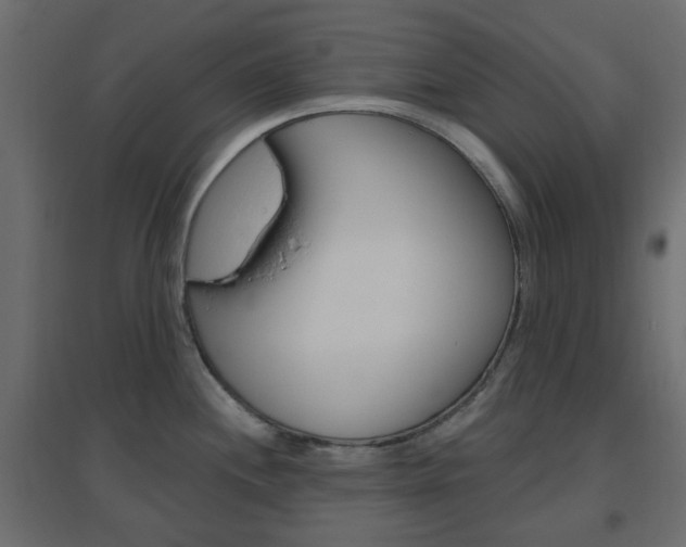X0000096631244200802050926