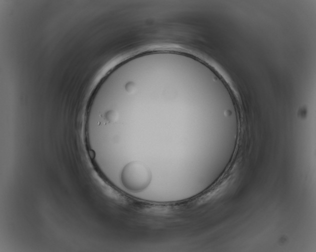 X0000096631245200802050926