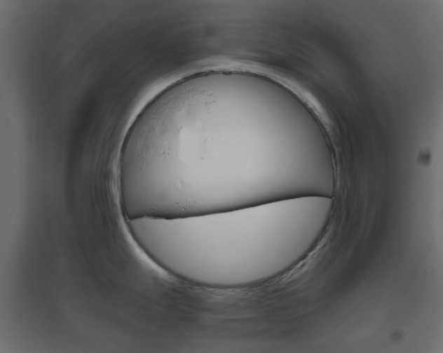 X0000096631247200802050926