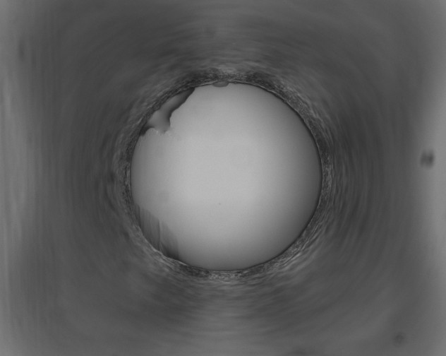 X0000096631249200802050925