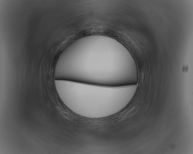 X0000096631250200802050925