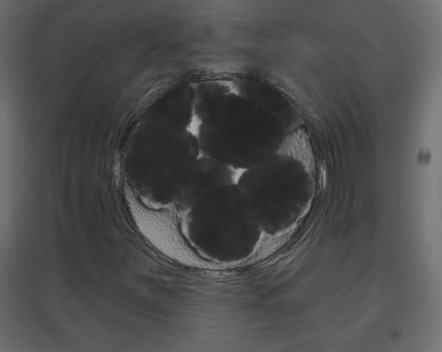 X0000096631251200802050925
