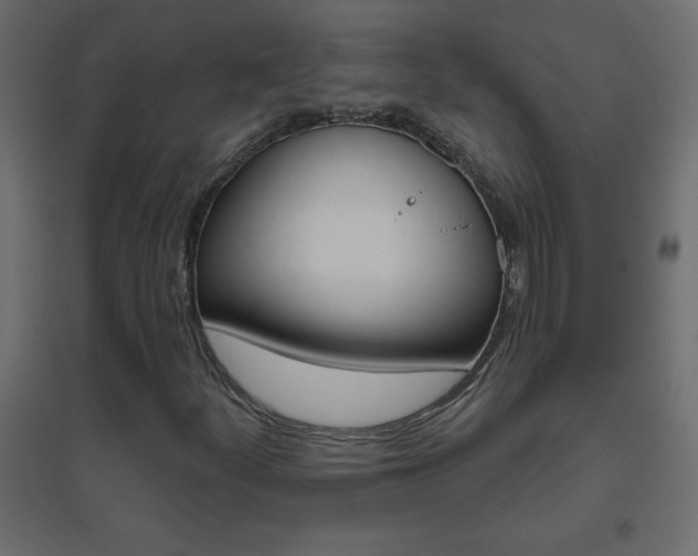 X0000096631252200802050925