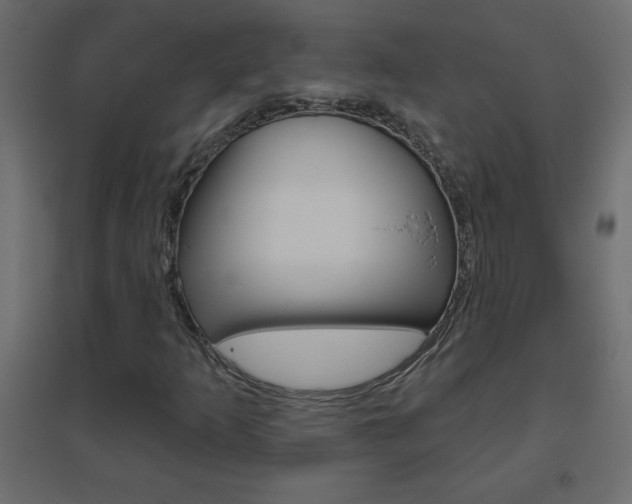X0000096631253200802050925