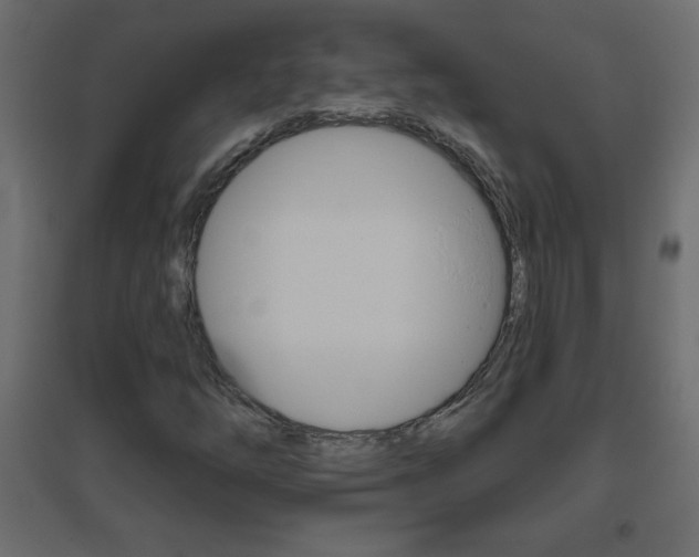 X0000096631254200802050925