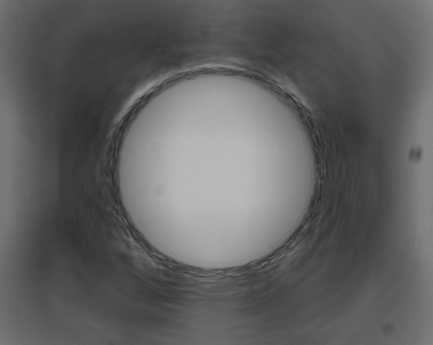 X0000096631256200802050925