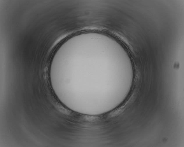 X0000096631258200802050925