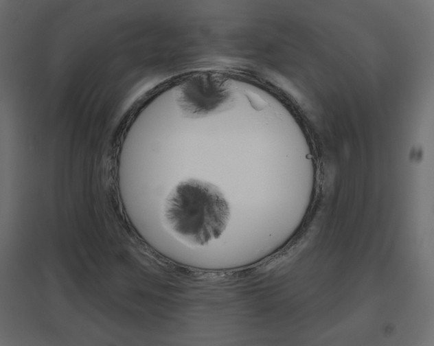 X0000096631259200802050925