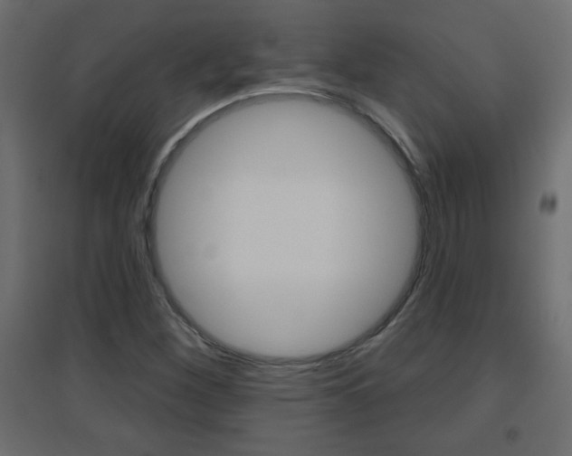 X0000096631260200802050925