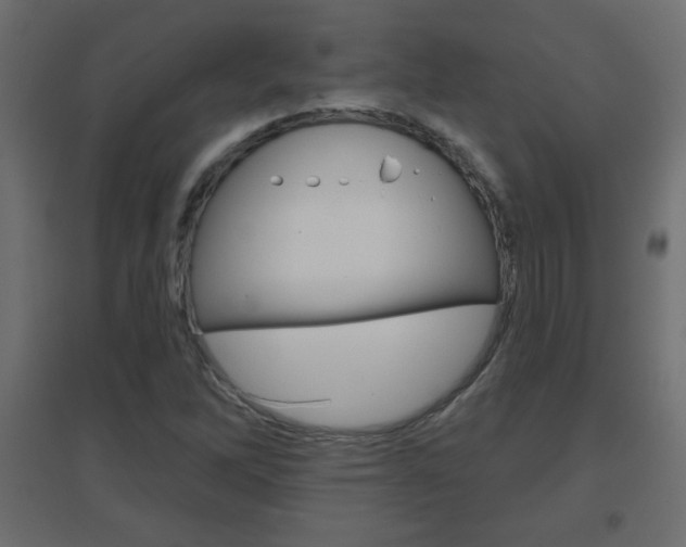 X0000096631262200802050925