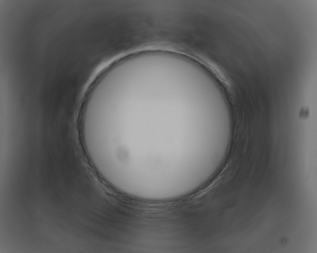 X0000096631264200802050925