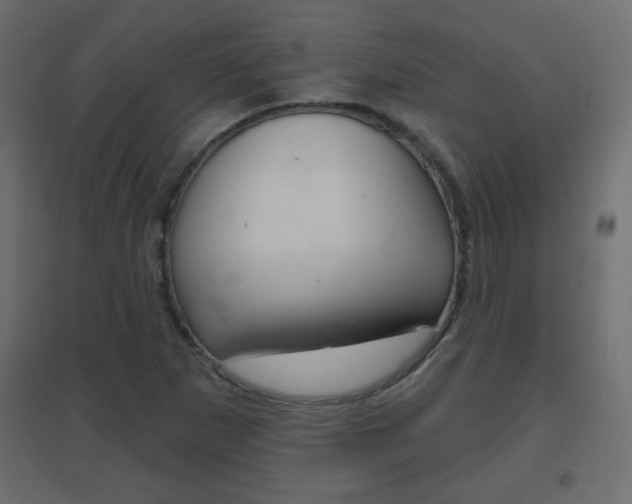 X0000096631265200802050925