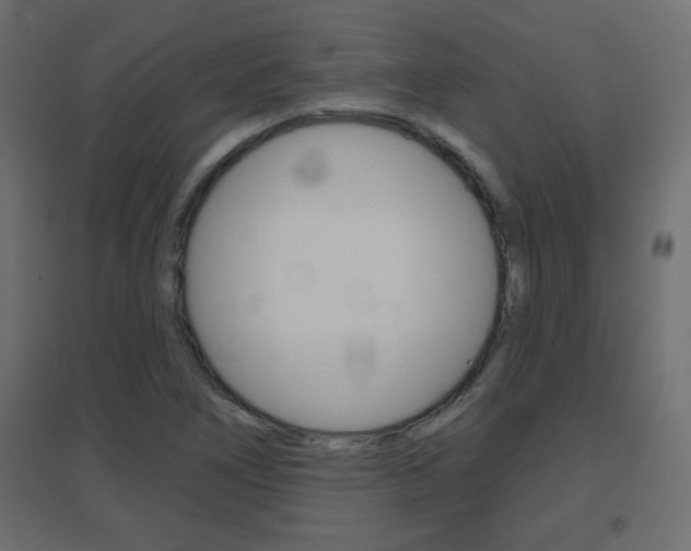 X0000096631266200802050925