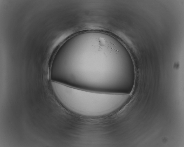 X0000096631269200802050925