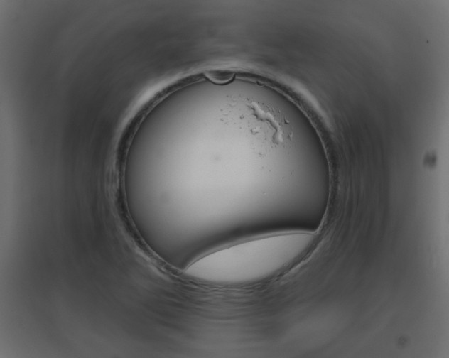 X0000096631270200802050925