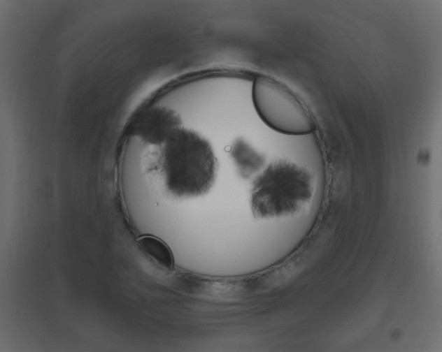 X0000096631271200802050925