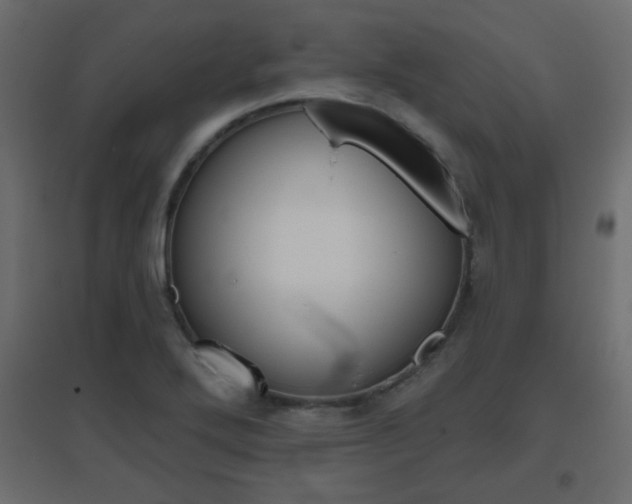 X0000096631272200802050925