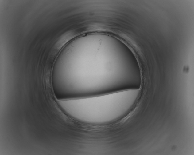 X0000096631273200802050925