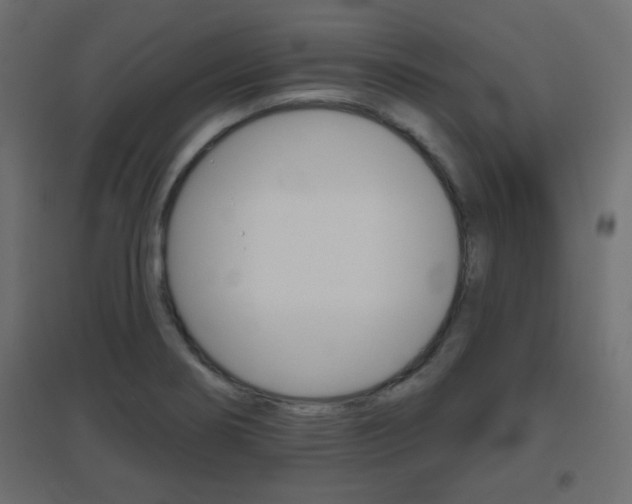 X0000096631274200802050925