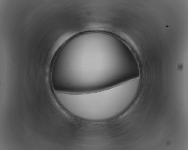X0000096631277200802050925