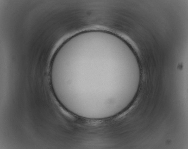 X0000096631278200802050925