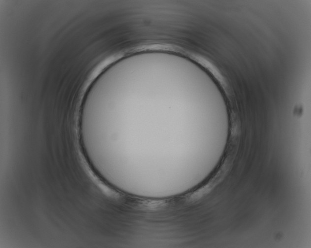 X0000096631282200802050925