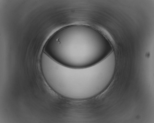 X0000096631284200802050925