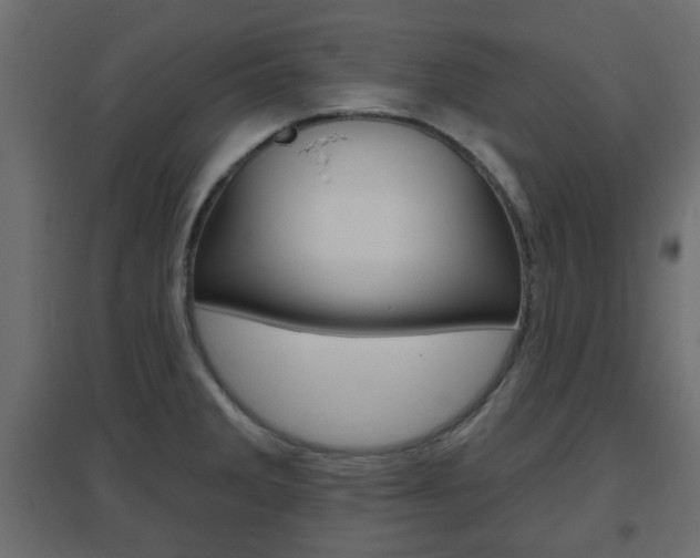 X0000096631285200802050925