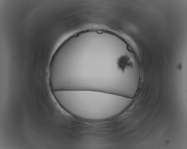 X0000096631287200802050925