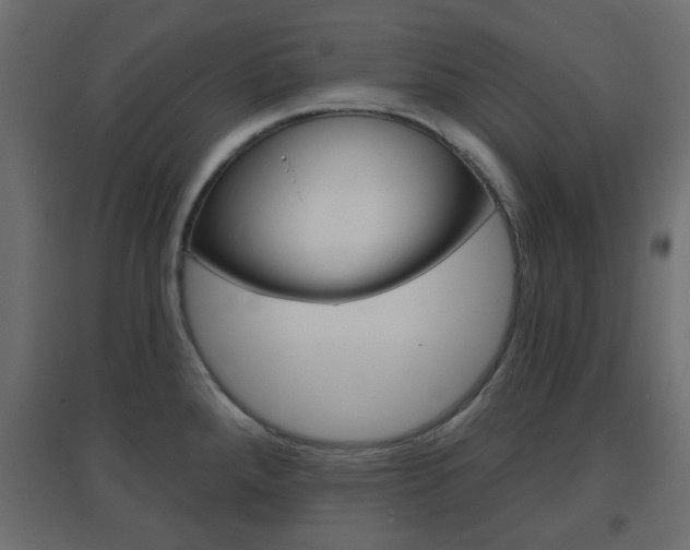 X0000096631288200802050925