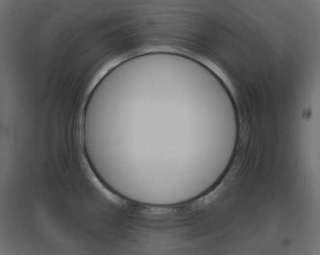 X0000096631290200802050925