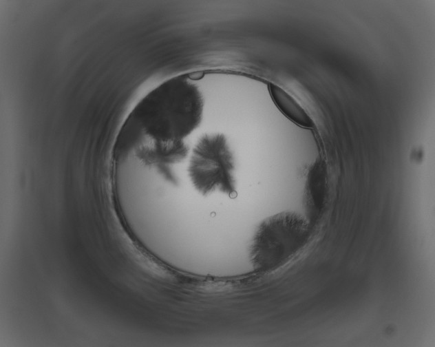 X0000096631291200802050925