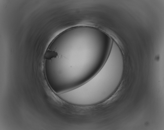 X0000096631292200802050925