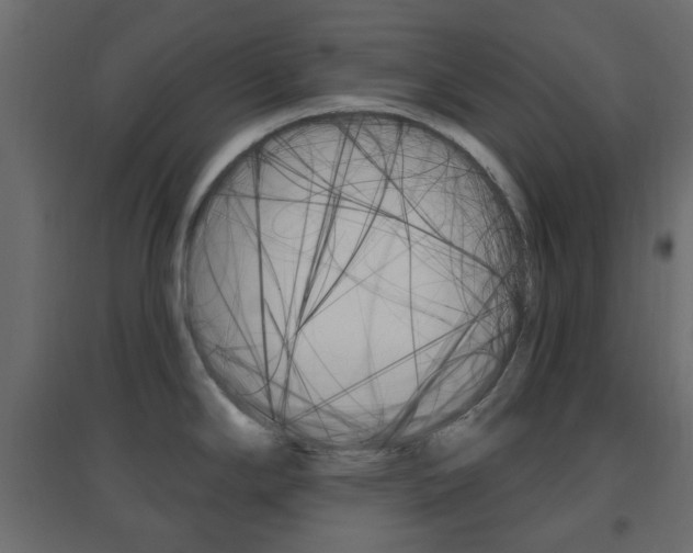X0000096631294200802050924