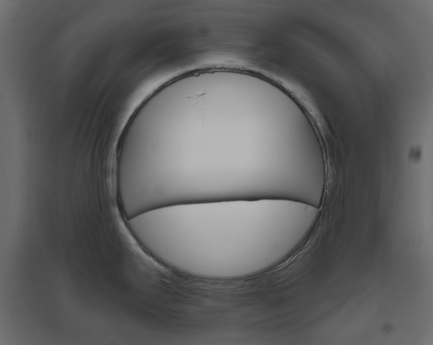 X0000096631295200802050924