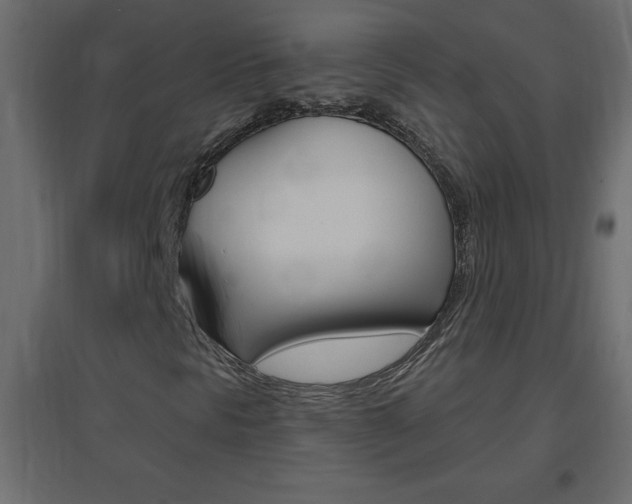 X0000096631297200802050924
