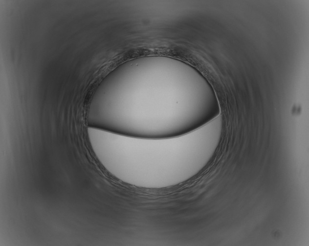 X0000096631298200802050924