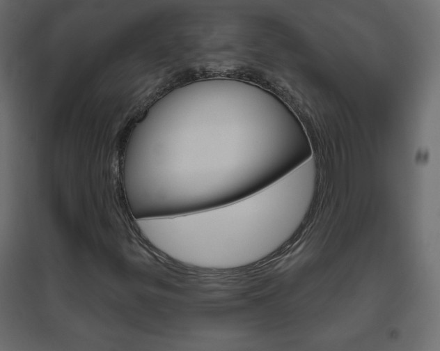 X0000096631299200802050924
