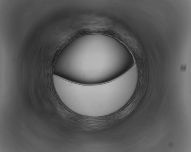 X0000096631300200802050924