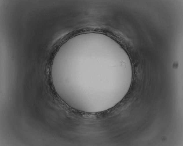 X0000096631302200802050924