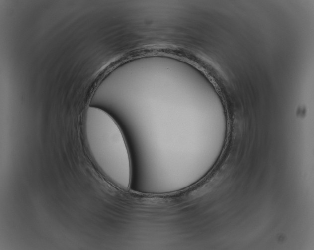 X0000096631305200802050924