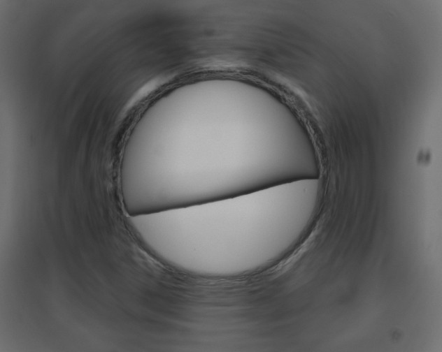 X0000096631306200802050924