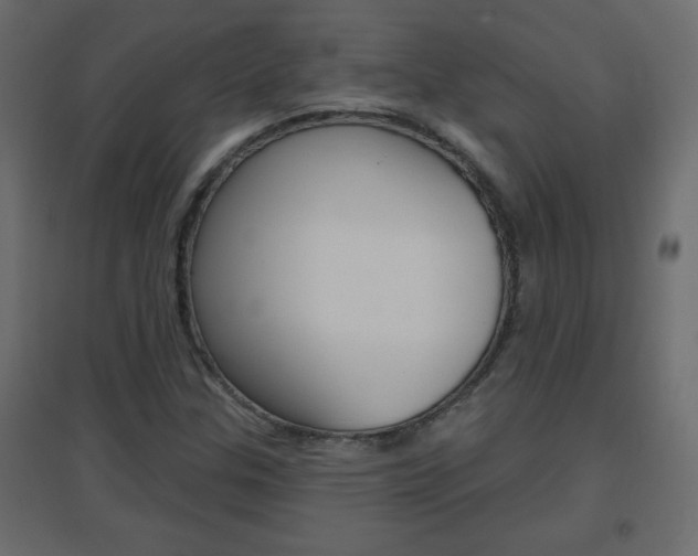X0000096631307200802050924