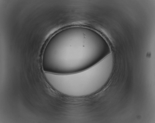 X0000096631308200802050924