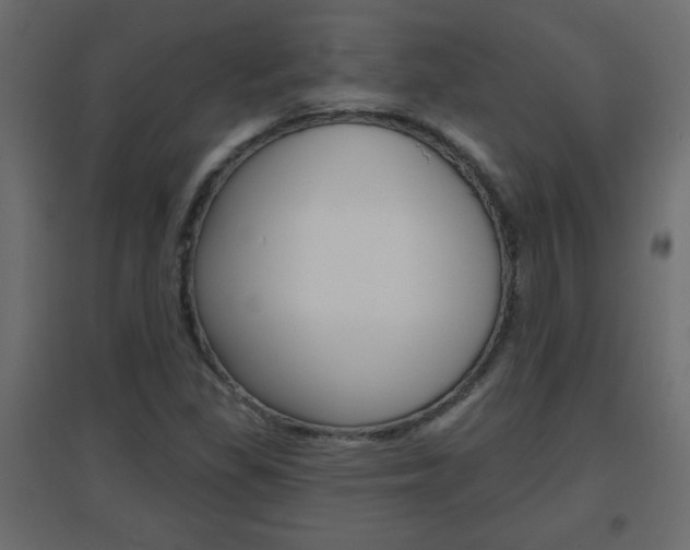 X0000096631309200802050924