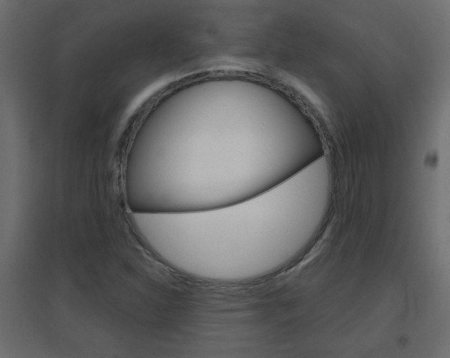 X0000096631310200802050924