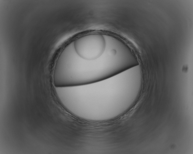 X0000096631311200802050924