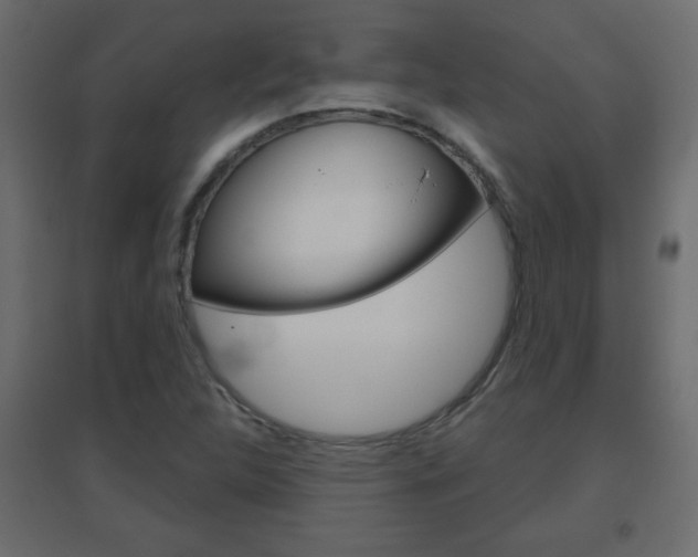 X0000096631312200802050924