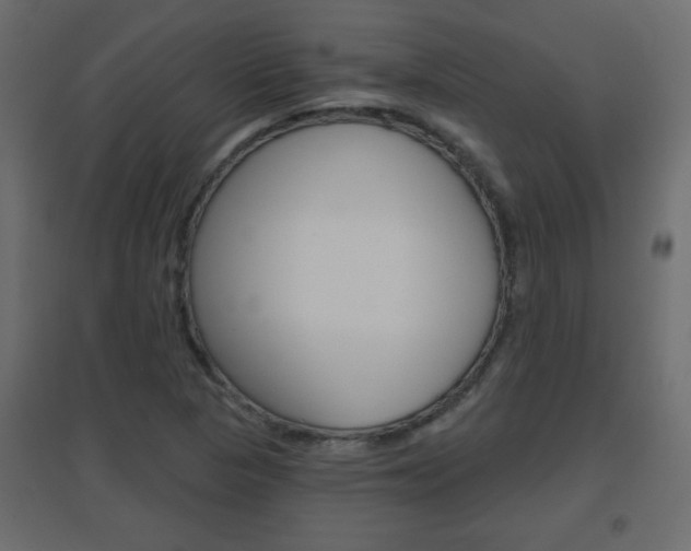 X0000096631313200802050924